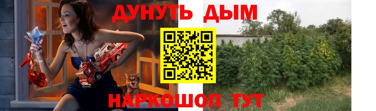 Бошки Шишки семена  Вход с VPN  Елабуга  Бошки марихуана OG Kush 